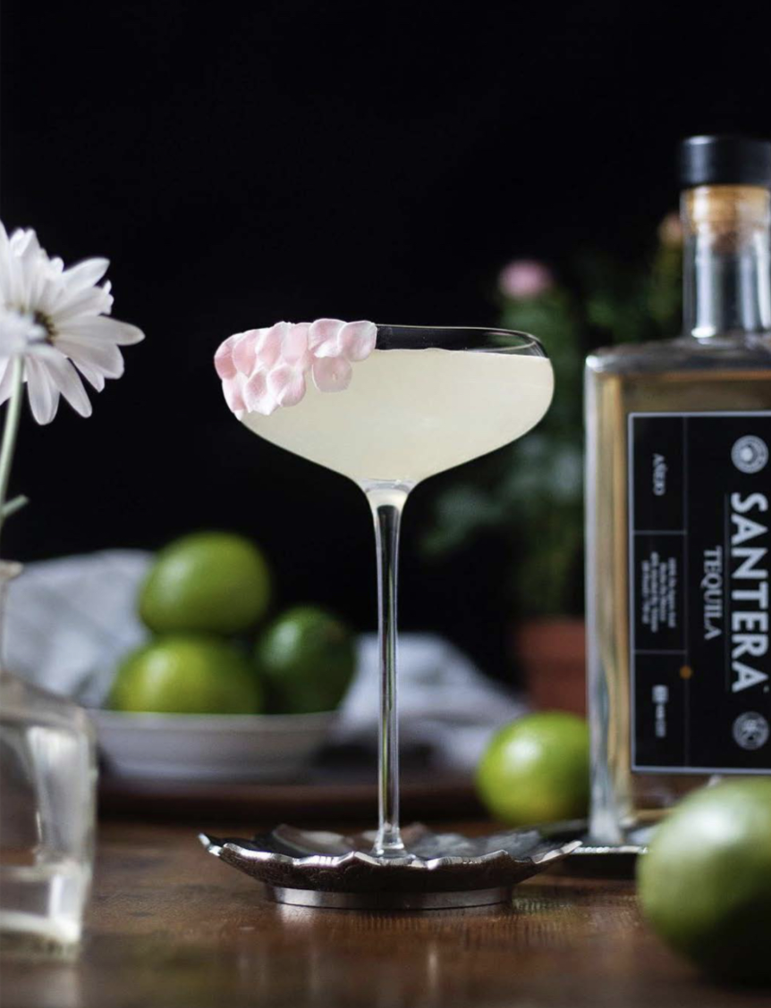 Coconut Orange Blossom Margarita tequila cocktail made with Santera Añejo